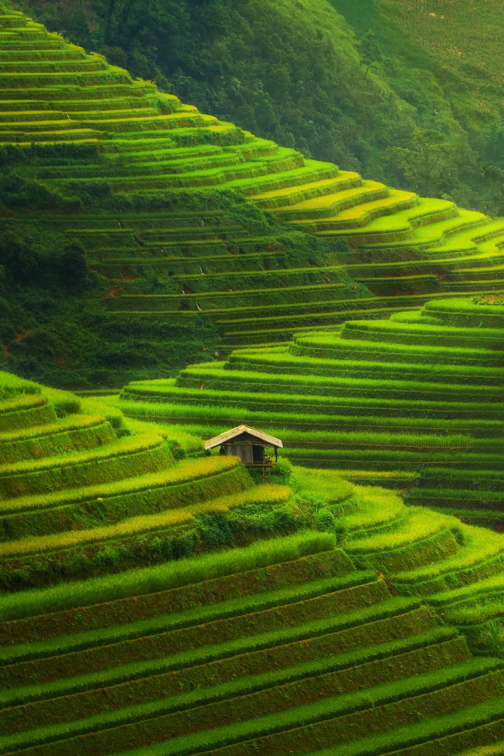 Food-and-Agricultulre-cover-1.webp