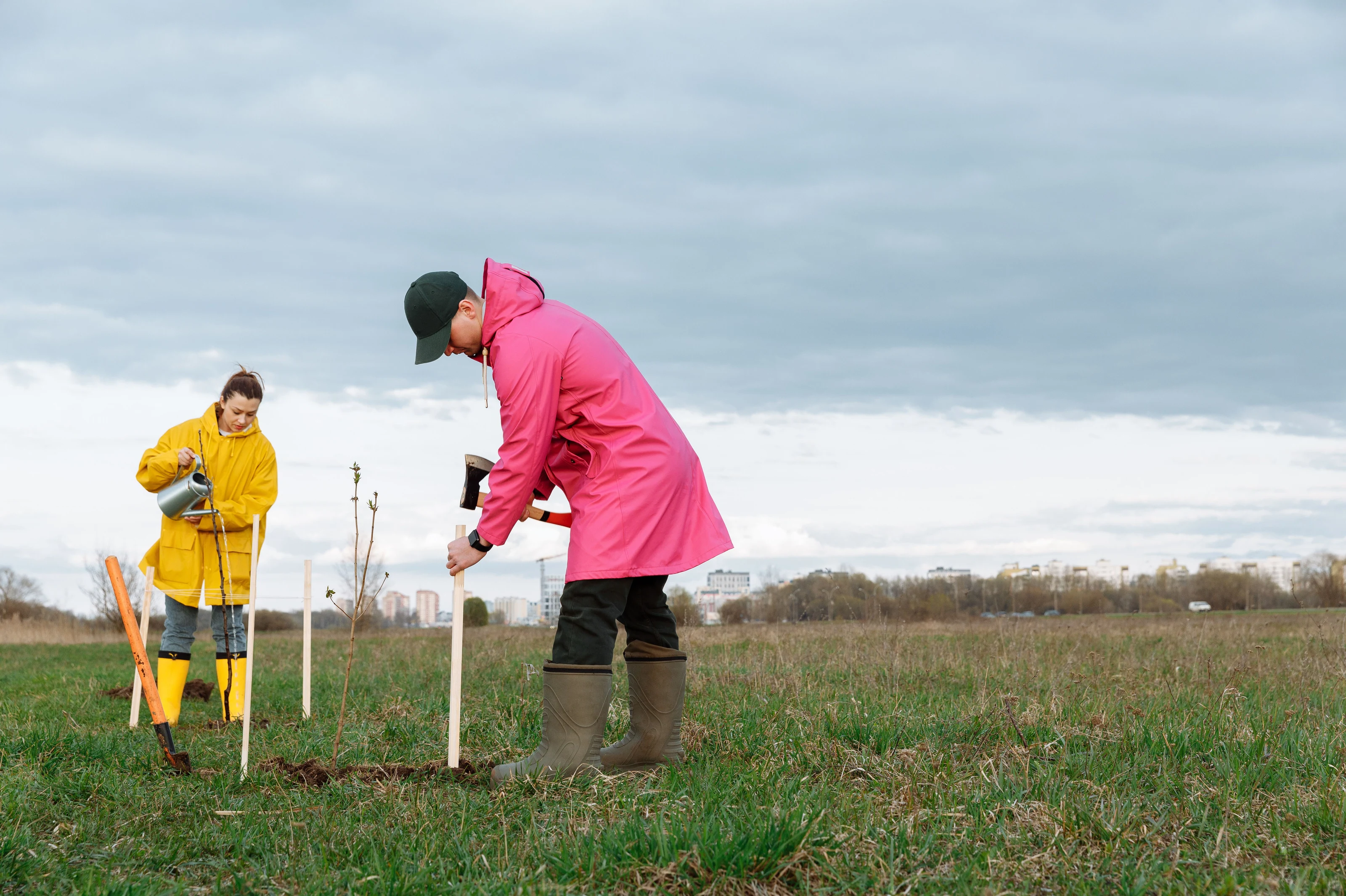 Volunteers planting trees · illustrative photograph